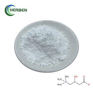 Чисти Л карнитин у праху